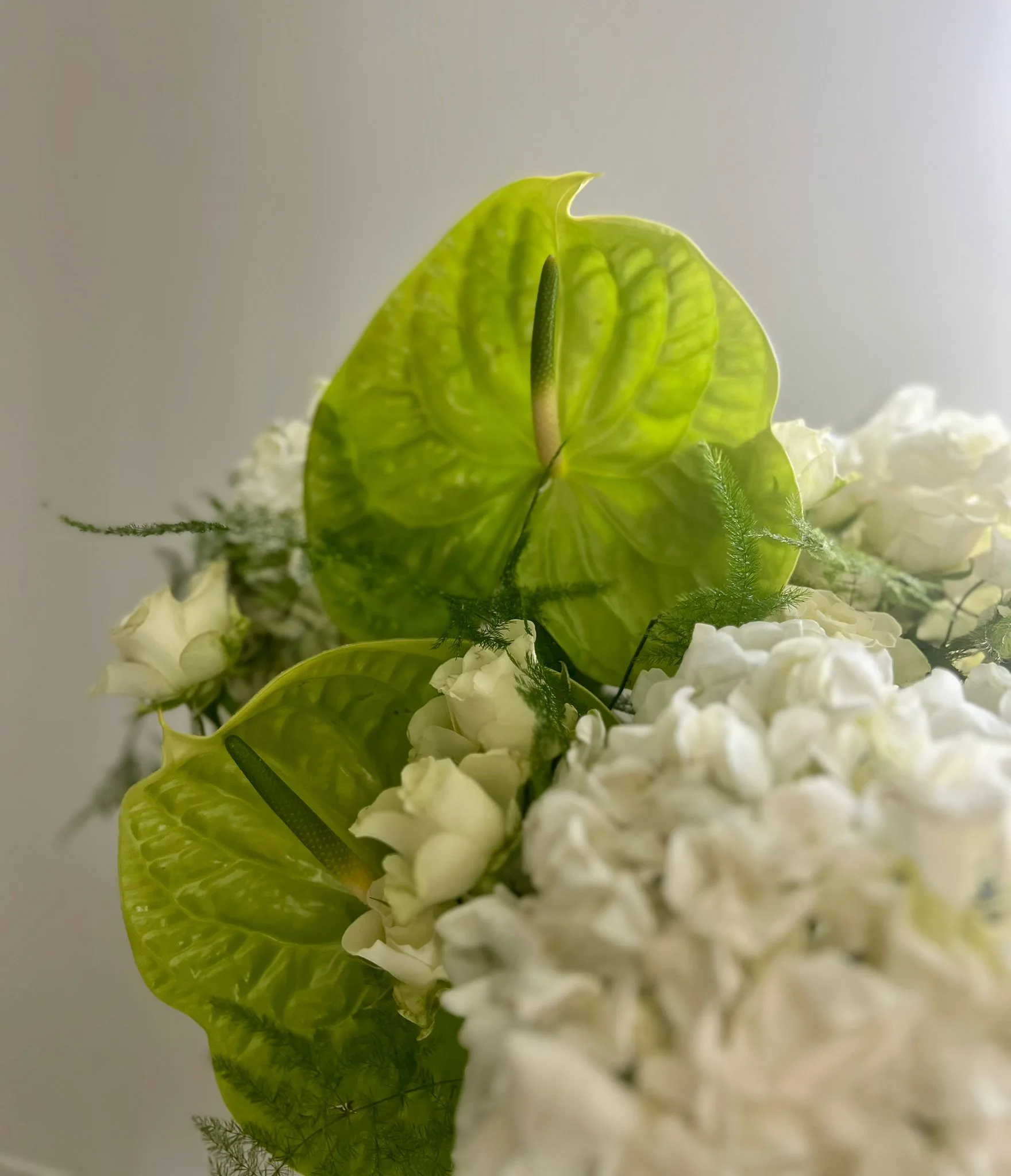 Moo's Flowers studio